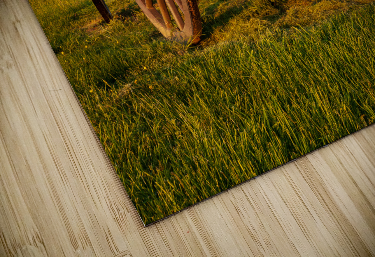 Cart on Manassas Battlefield Steve Heap Puzzle