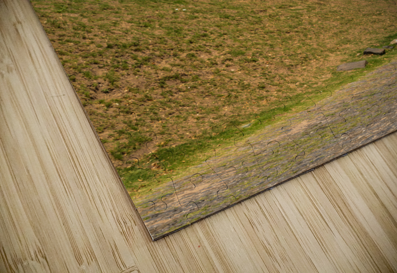 Street lamp in Unesco historical town of Colonia del Sacramento Steve Heap Puzzle