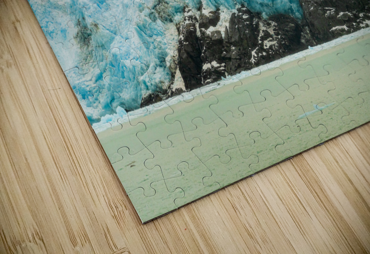 Amalia Glacier towers over large rocks and trees in Patagonia Steve Heap Puzzle