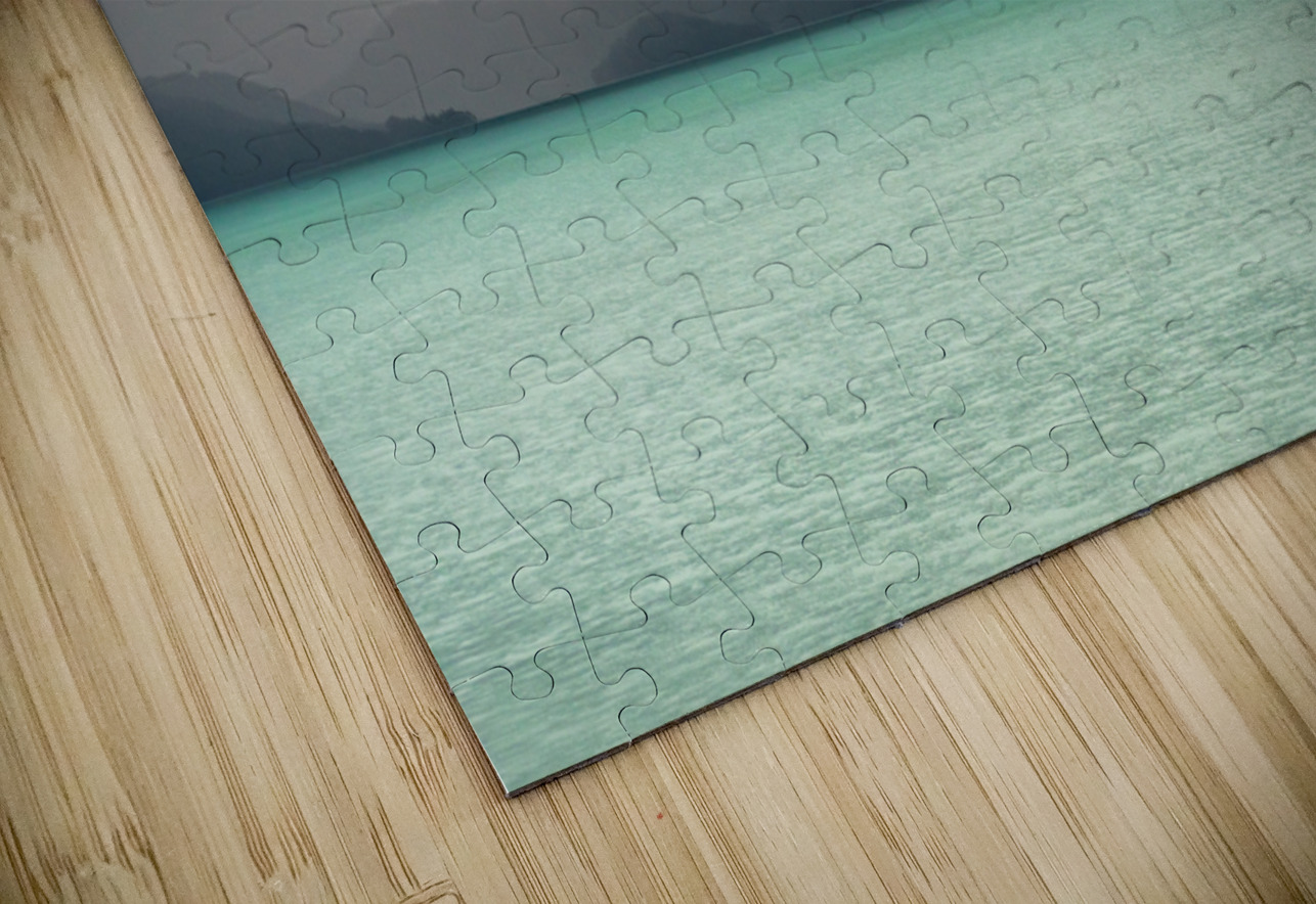 Milky ocean approaching Amalia Glacier due to suspended clay Steve Heap Puzzle