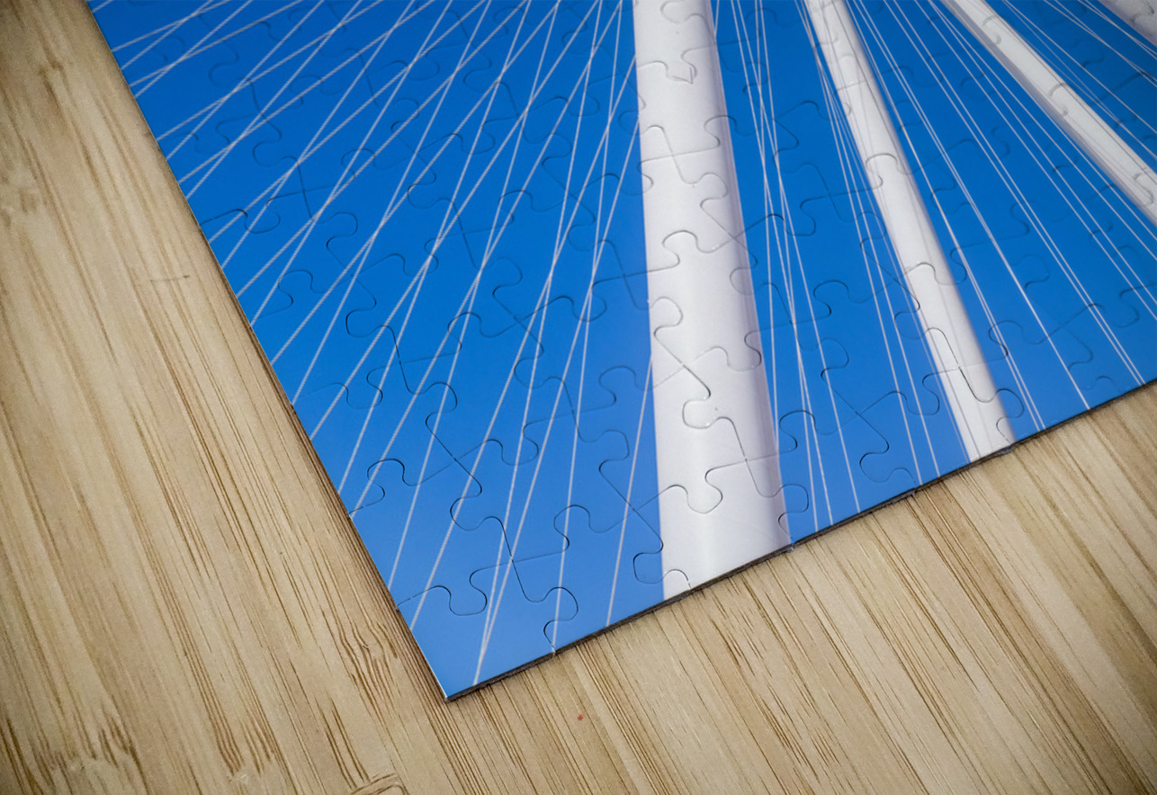 Ain Dubai observation wheel on Bluewaters Island in Dubai Steve Heap Puzzle