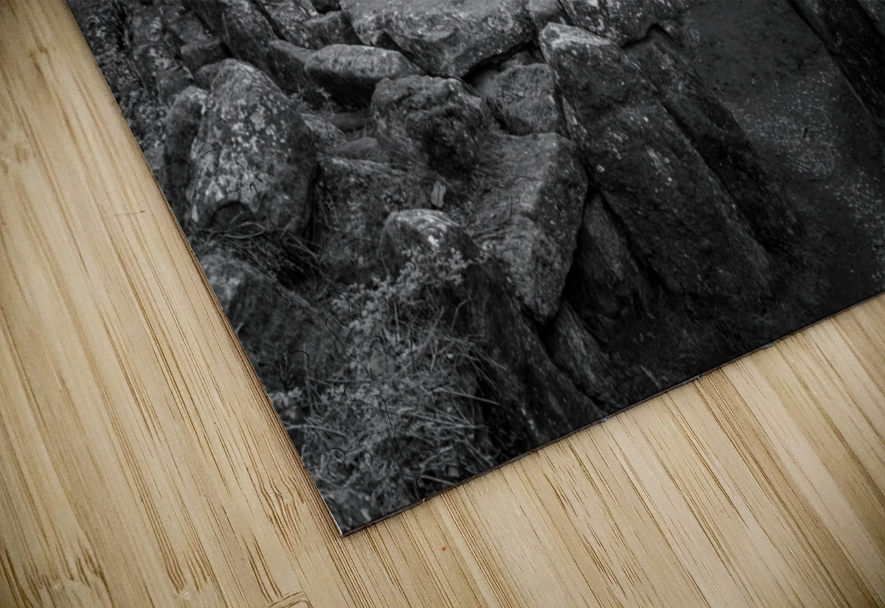 Standing stones of the Druids Plantation in Nidderdale Steve Heap Puzzle