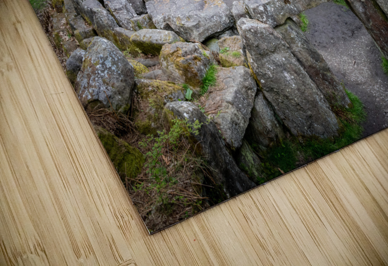 Standing stones of the Druids Plantation in Nidderdale Steve Heap Puzzle