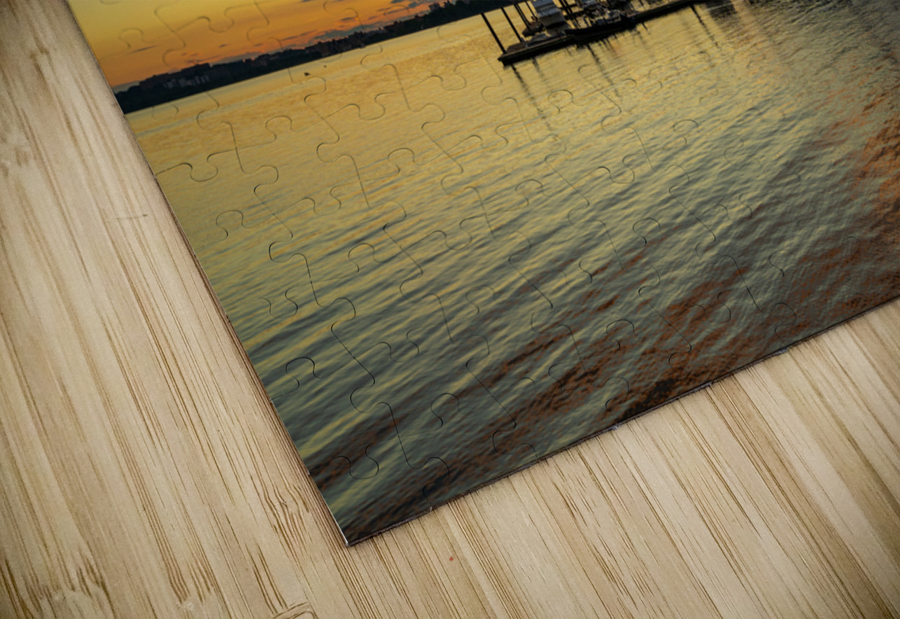 Ferris wheel at National Harbor at sunset Steve Heap Puzzle