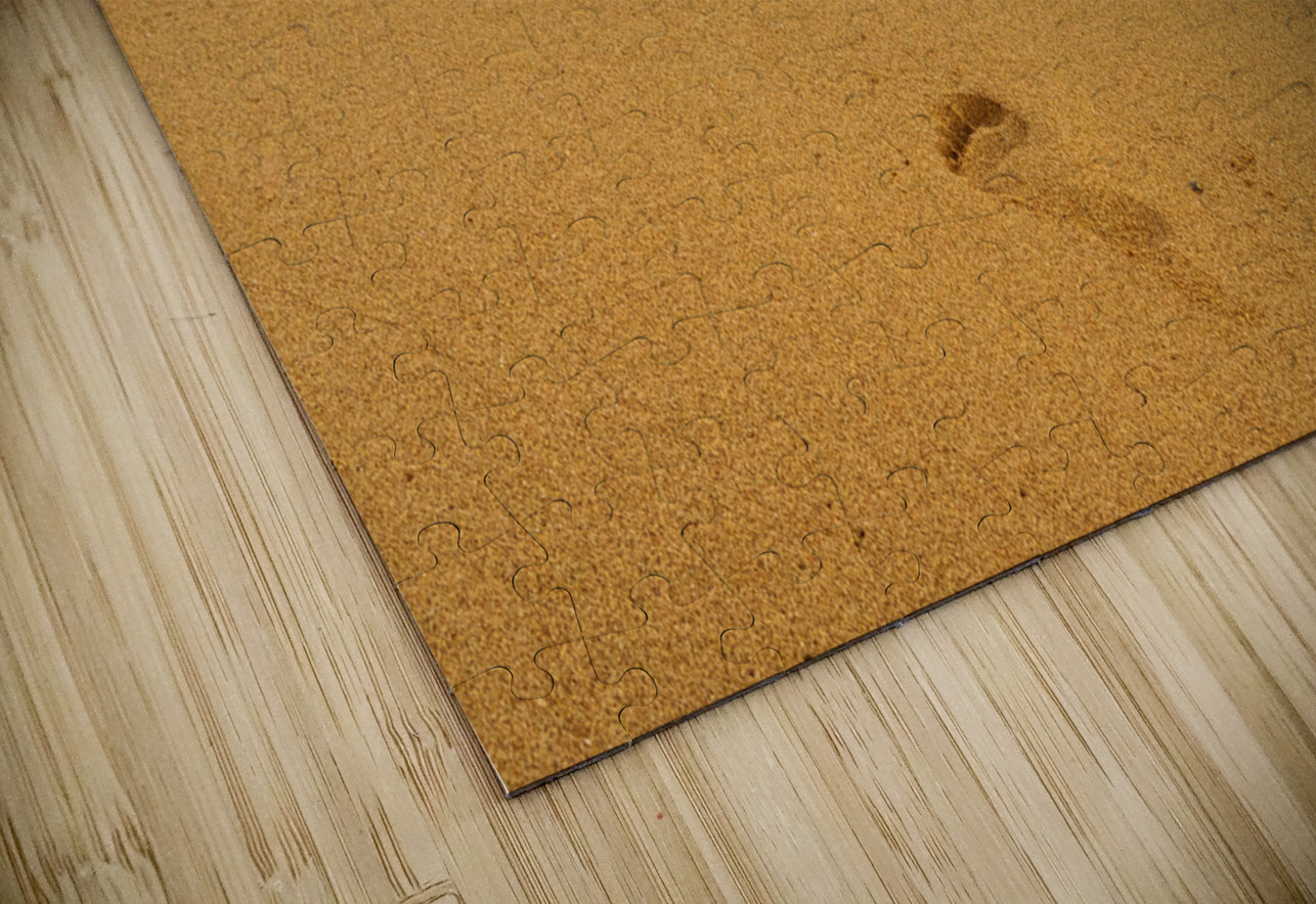 Early morning footsteps on Tunnels Beach on Kauai in Hawaii Steve Heap Puzzle