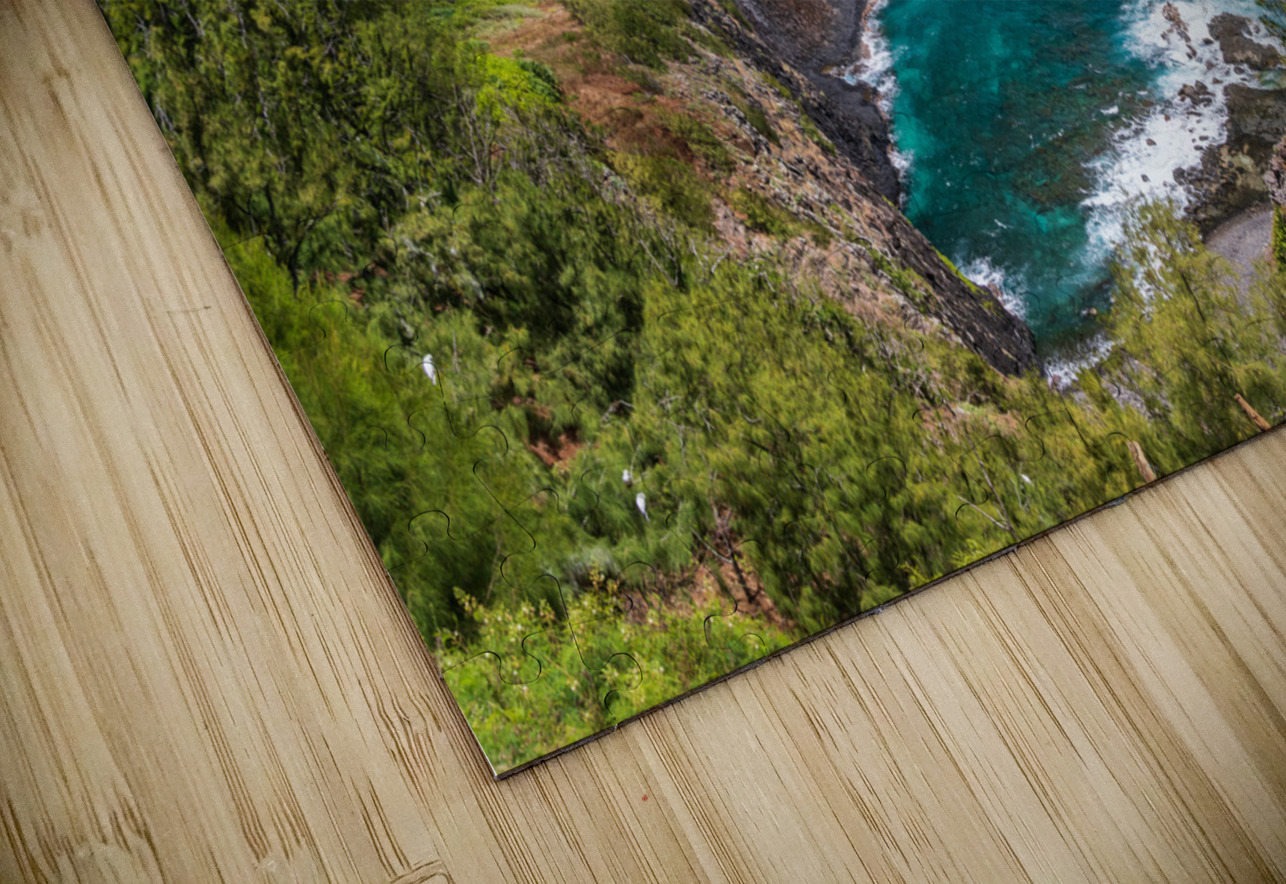 Kilauea lighthouse on headland against blue sky on Kauai Steve Heap Puzzle