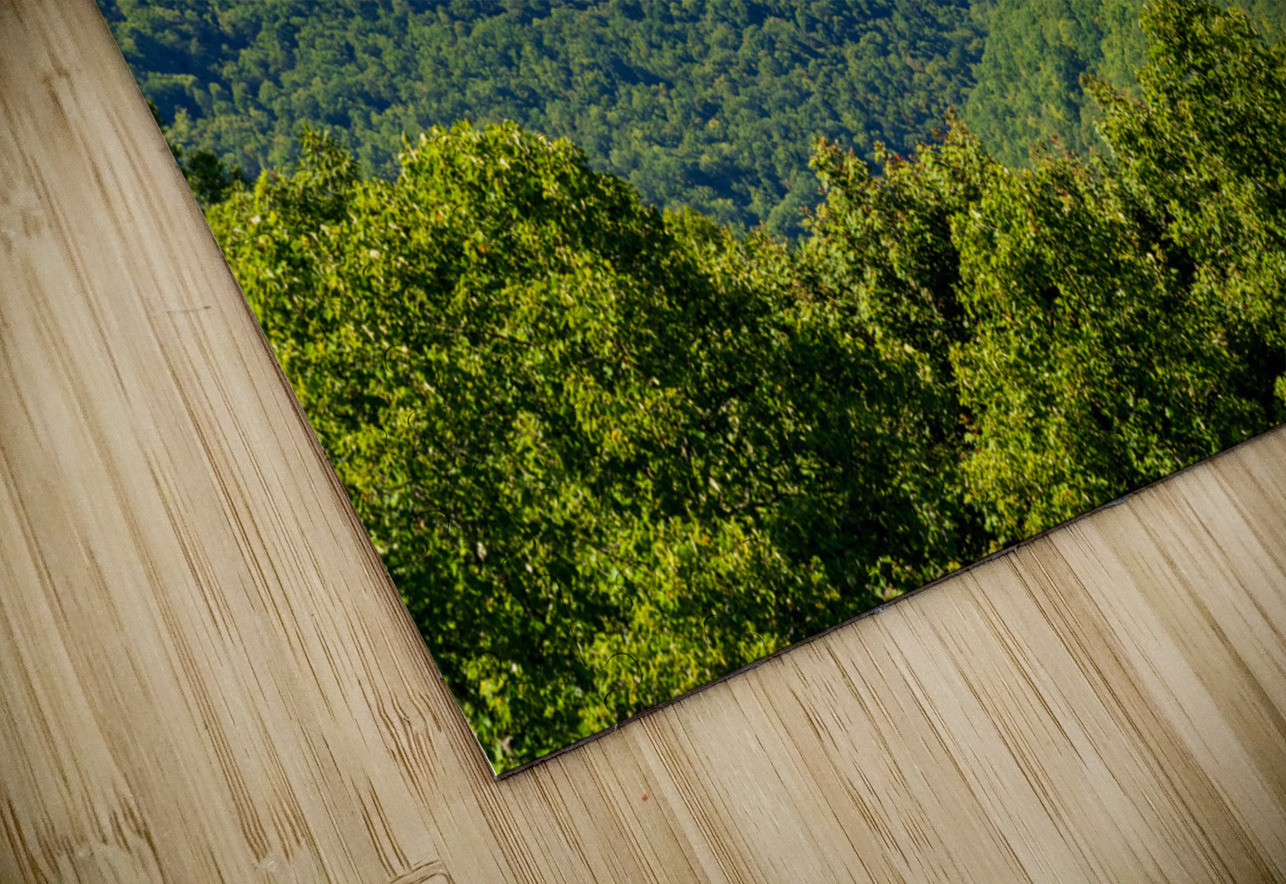 Cheat Lake seen from Snake Hill overlook near Morgantown Steve Heap Puzzle