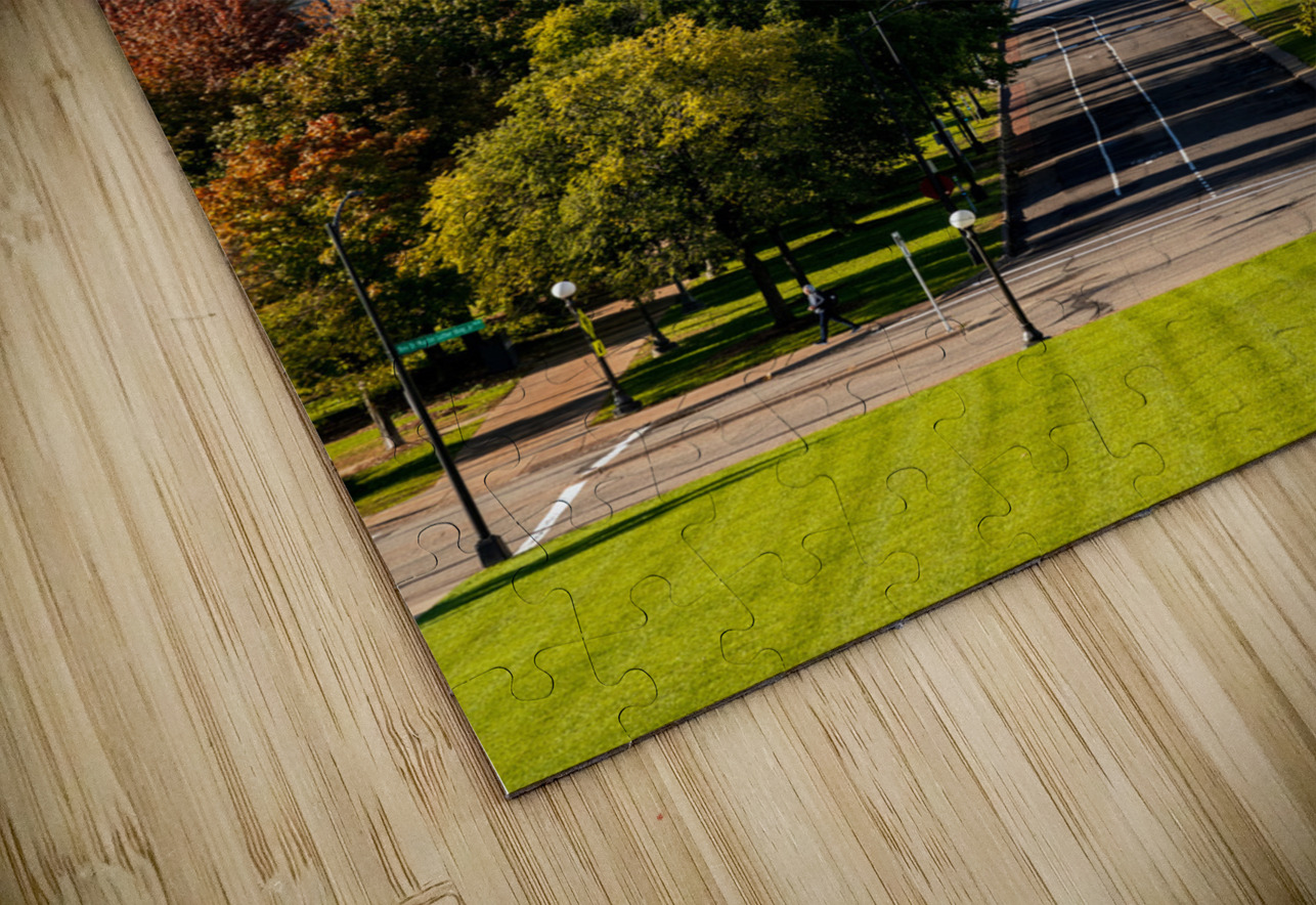 Cathedral of Saint Paul in St Paul Minnesota from Capitol Steve Heap Puzzle