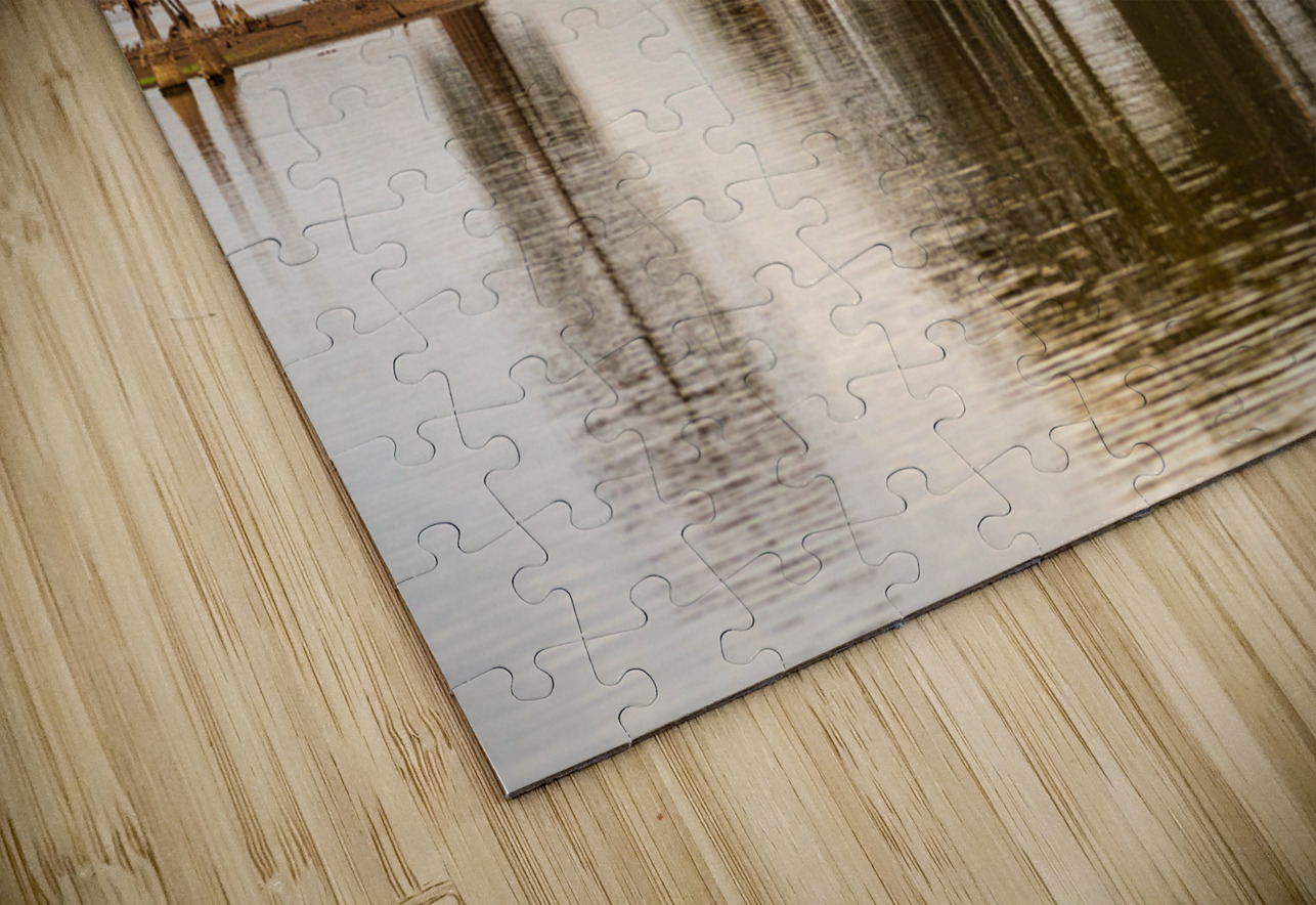 Stand of bald cypress trees rise out of water in Atchafalaya bas Steve Heap Puzzle