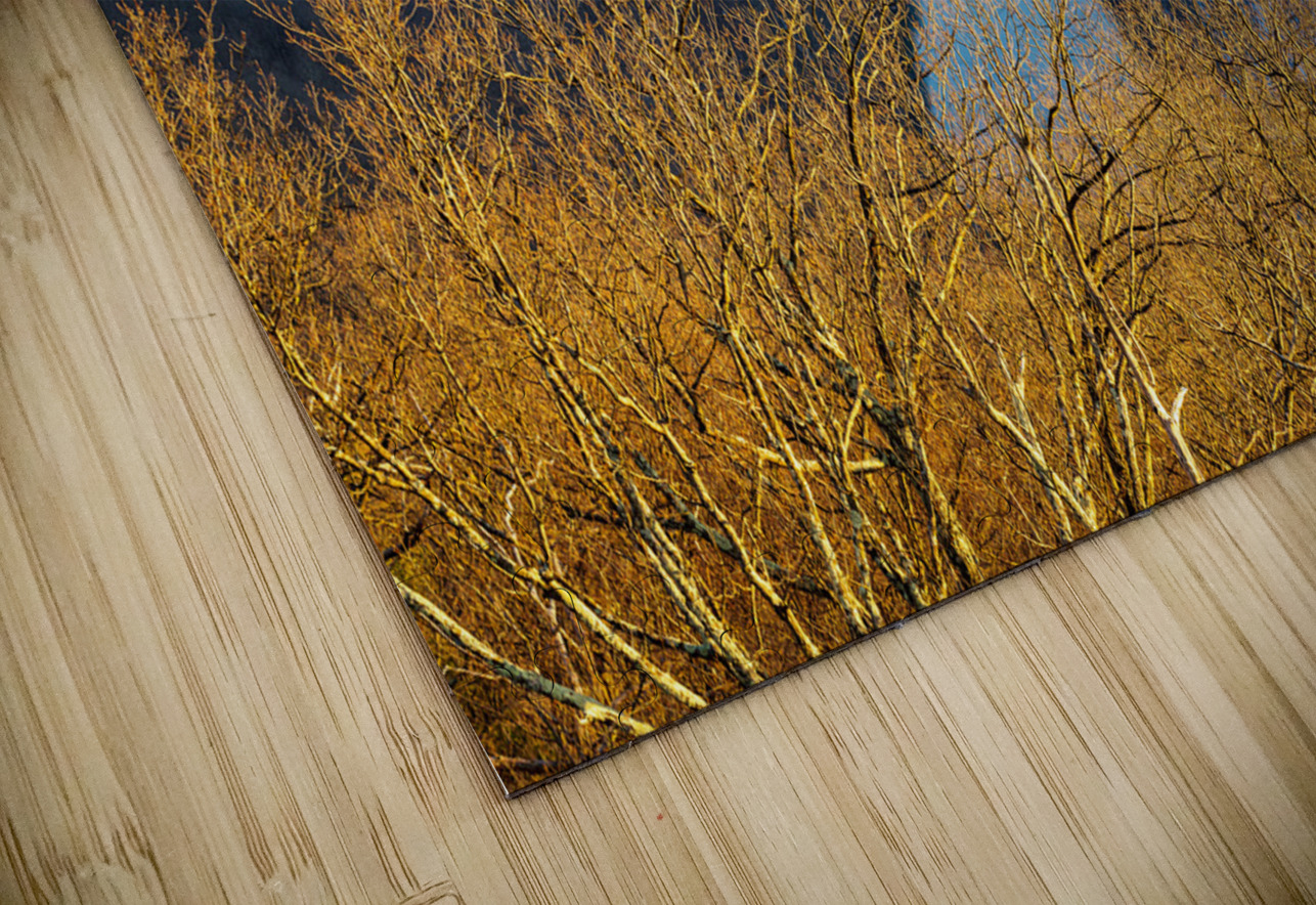 Cold Cheat River Canyon at Coopers Rock on winter afternoon Steve Heap Puzzle
