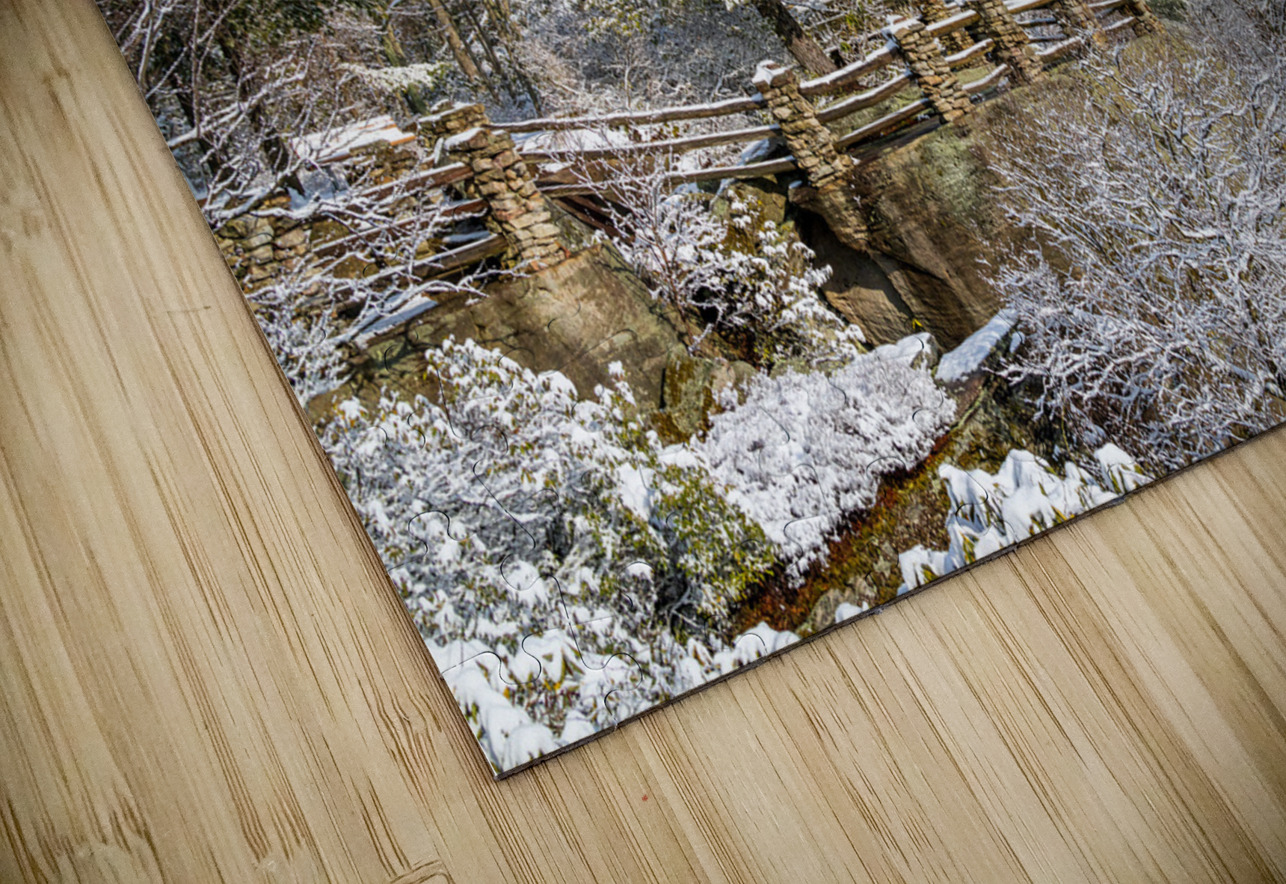 Coopers Rock overlook covered in winter snow near Morgantown Steve Heap Puzzle