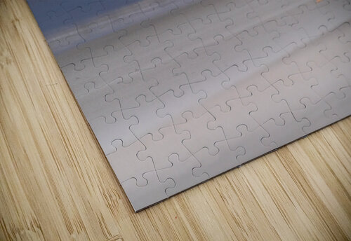 Single Gentoo penguin on Falklands walking to ocean Steve Heap puzzle