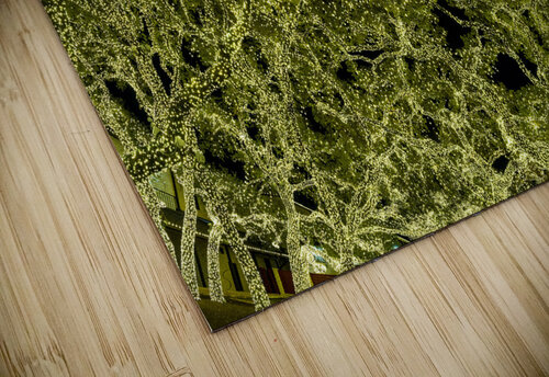 Holiday lights spectacular in trees of Johnson City Texas Steve Heap puzzle