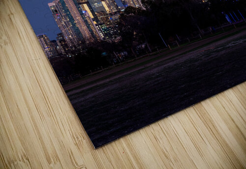 Cityscape of downtown Austin from the west in Zilker park 2025 Steve Heap puzzle