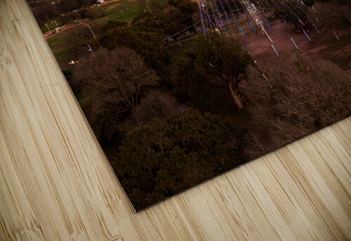 Cityscape of downtown Austin from the west in Zilker park 2025 Steve Heap puzzle