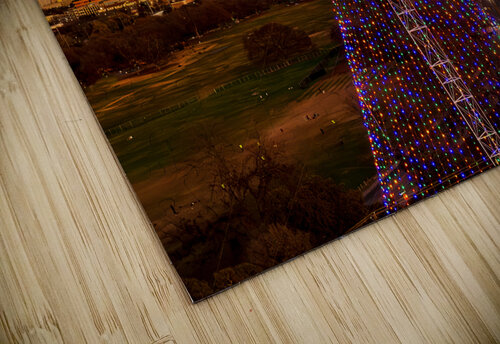 Cityscape of downtown Austin from the west in Zilker park 2025 Steve Heap puzzle