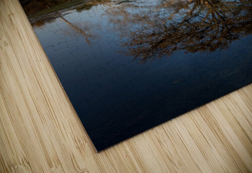 Large cypress tree in Comal River in Landa park New Braunfels in Steve Heap puzzle