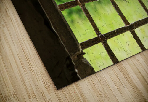 Barn swallow perched on the bars of 13th Century window Steve Heap puzzle