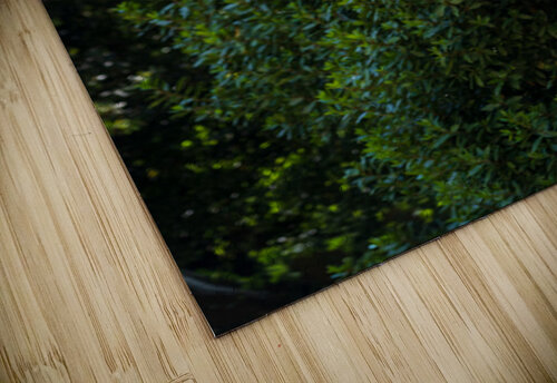 Historic english street lantern attached to warm stone building Steve Heap puzzle