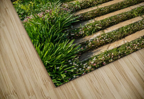Stone steps into a hedged flower garden on the Isle of Wight Steve Heap puzzle