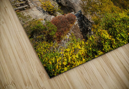 Coopers Rock state park overlook with fall colors Steve Heap puzzle