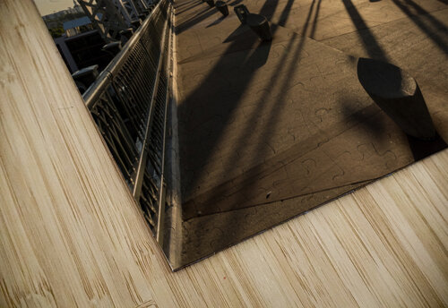 John Seigenthaler pedestrian bridge in Nashville Tennessee Steve Heap puzzle