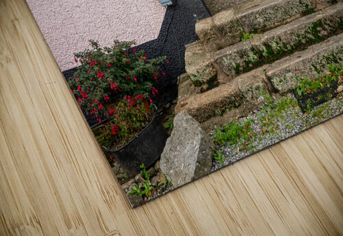 Solid wooden front door in Devon village of Dunsford Steve Heap puzzle