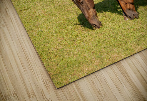 Two brown horses grazing in a meadow Steve Heap puzzle