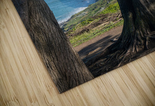 Golden Gate Bridge and tree trunks Steve Heap puzzle