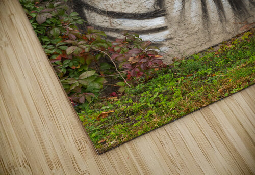 Graffiti on wall of rock like face of cat Steve Heap puzzle