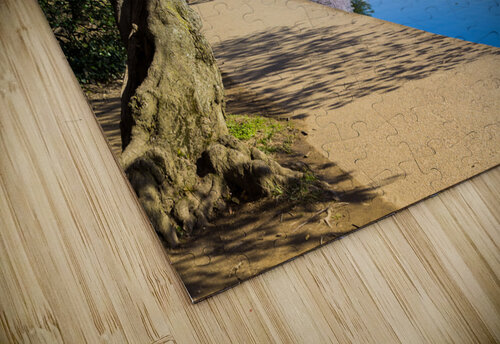 Pathway around the tidal basin during Cherry Blossom Festival Steve Heap puzzle