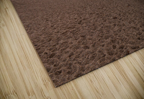 Sunrise at West Bay Dorset in UK Steve Heap puzzle