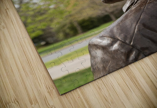 Detail of head of statue of President Lincoln Steve Heap puzzle