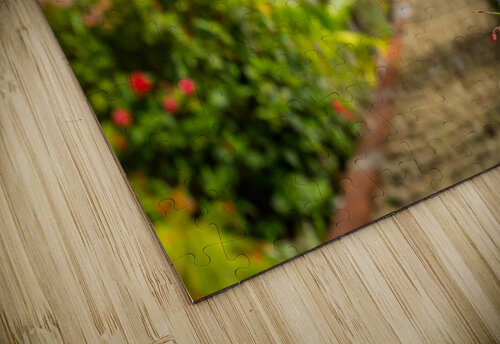 Famous 99 steps Charlotte Amalie Steve Heap puzzle