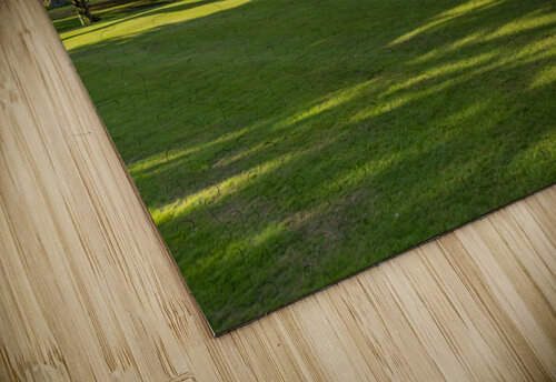 English lawn running down to lake Steve Heap puzzle