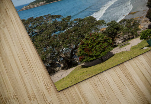 Hike around The Mount at Tauranga in NZ Steve Heap puzzle