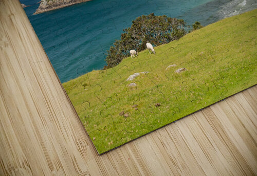 Hike around The Mount at Tauranga in NZ Steve Heap puzzle