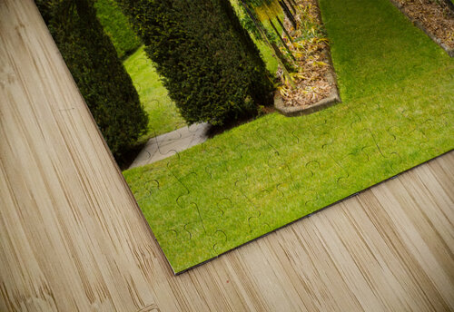 Laburnum Arch in full bloom over grass path Steve Heap puzzle