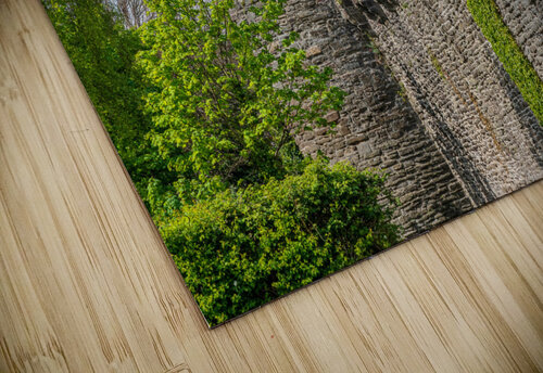 Ancient toilets in the historic Conwy castle in North Wales Steve Heap puzzle