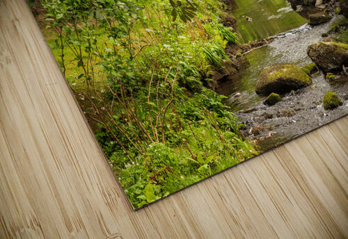 Azaleas and Rhododendron trees surround stream in spring Steve Heap puzzle