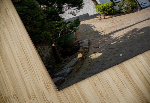 Pretty victorian home in the ancient city of Conwy in North Wale Steve Heap puzzle