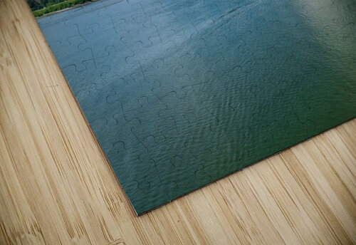 City of Juneau in Alaska seen from the water in the port Steve Heap puzzle