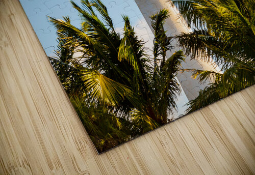 Cape Florida lighthouse in Bill Baggs Steve Heap puzzle