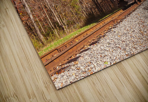 WMRR Steam train powers along railway Steve Heap puzzle