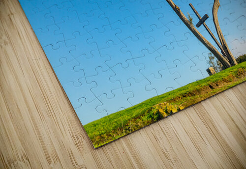 Serra Cross in Ventura California between trees Steve Heap puzzle