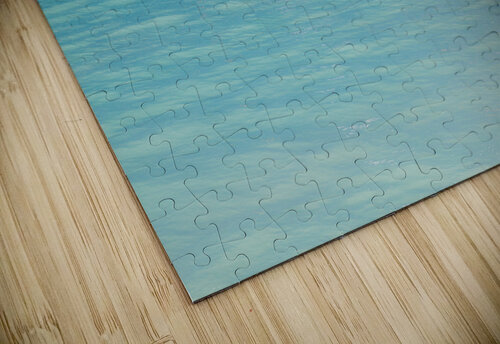 Speedboat in calm sea off Grand Case St Martin Steve Heap puzzle