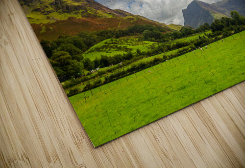 Sheep graze near Buttermere Lake District Steve Heap puzzle