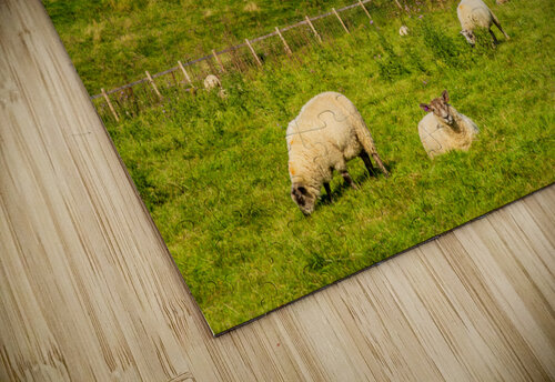 Church St James across meadow in Chipping Campden Steve Heap puzzle