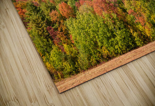 Multi-colored hillside in Vermont during the fall Steve Heap puzzle