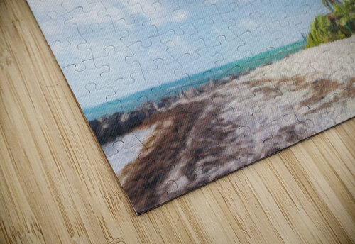 Painting of Cape Florida lighthouse Steve Heap puzzle